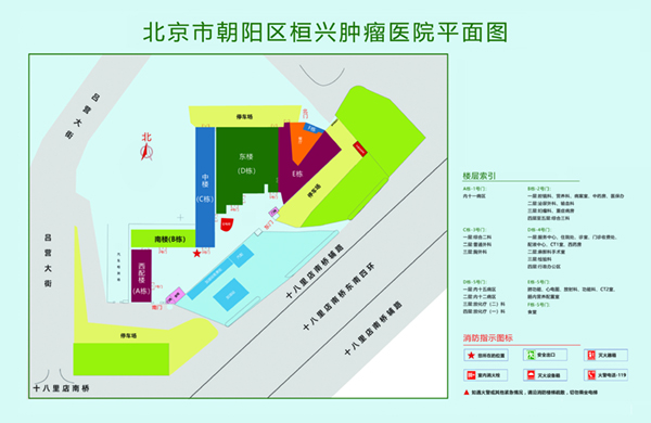 美国操大操逼北京市朝阳区桓兴肿瘤医院平面图